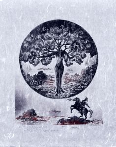 II Luz de luna, soledad magia, hechizo, en brioso corcel galopan los deseos